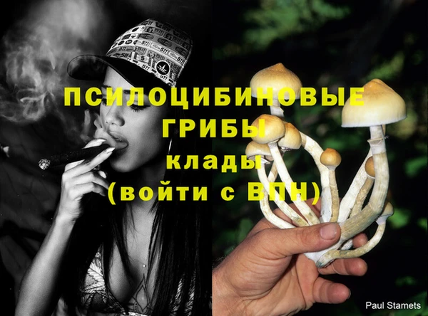 героин Алексин