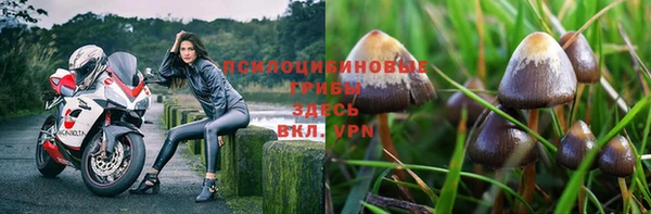 молекула духа Алексеевка