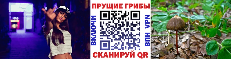 купить наркотик  Слободской  Галлюциногенные грибы прущие грибы 