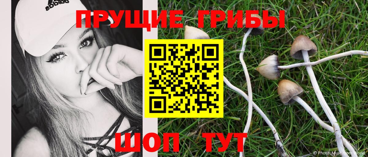 Слободской  Псилоцибиновые грибы MAGIC MUSHROOMS  как найти   Вход с VPN  Псилоцибиновые грибы GOLDEN TEACHER 